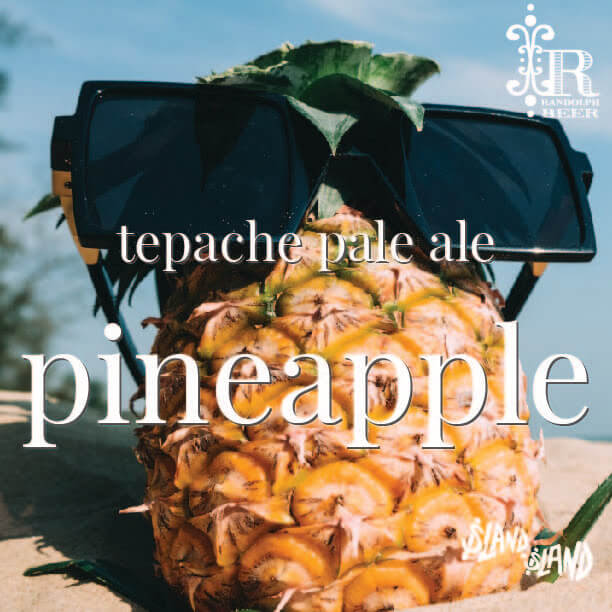 Pineapple Funk, Tepache