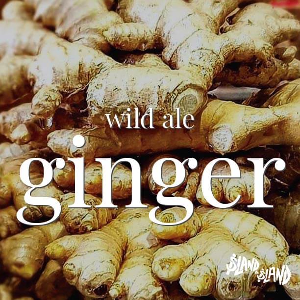 Ginger Wild Ales